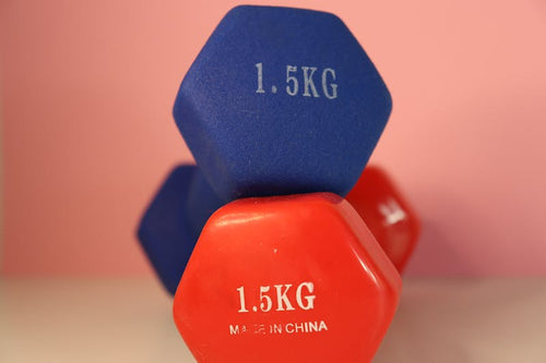 Adjustable Weight Bench