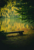 5-Minute Mindfulness guide — meditation practice