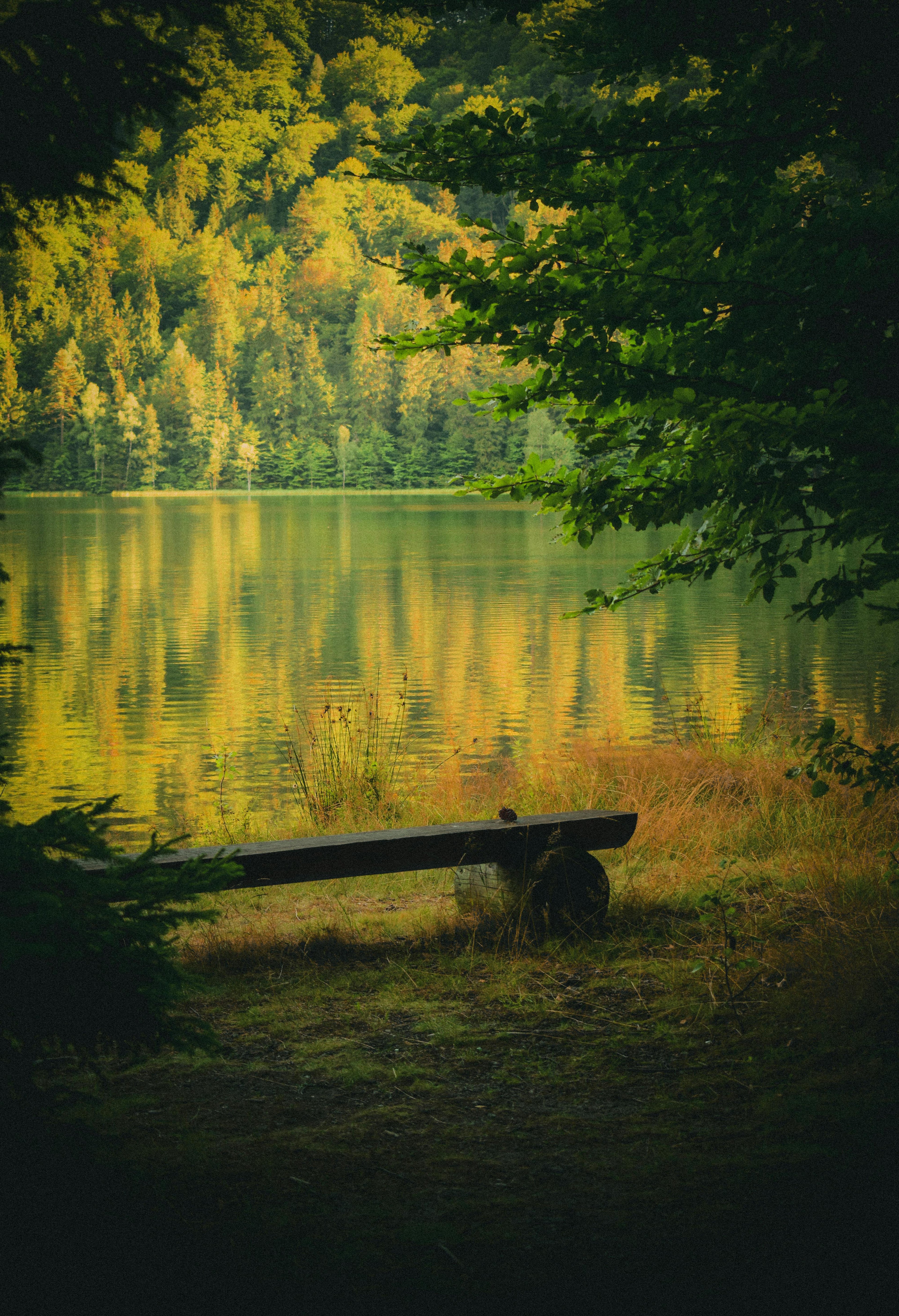 5-Minute Mindfulness guide — meditation practice