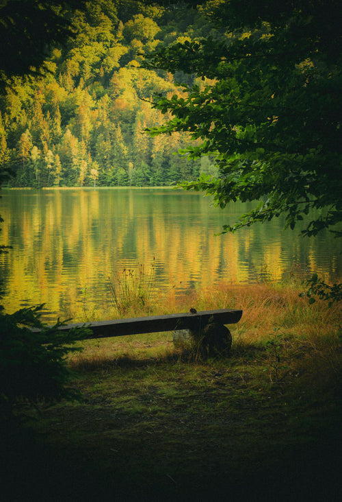 5-Minute Mindfulness guide — meditation practice