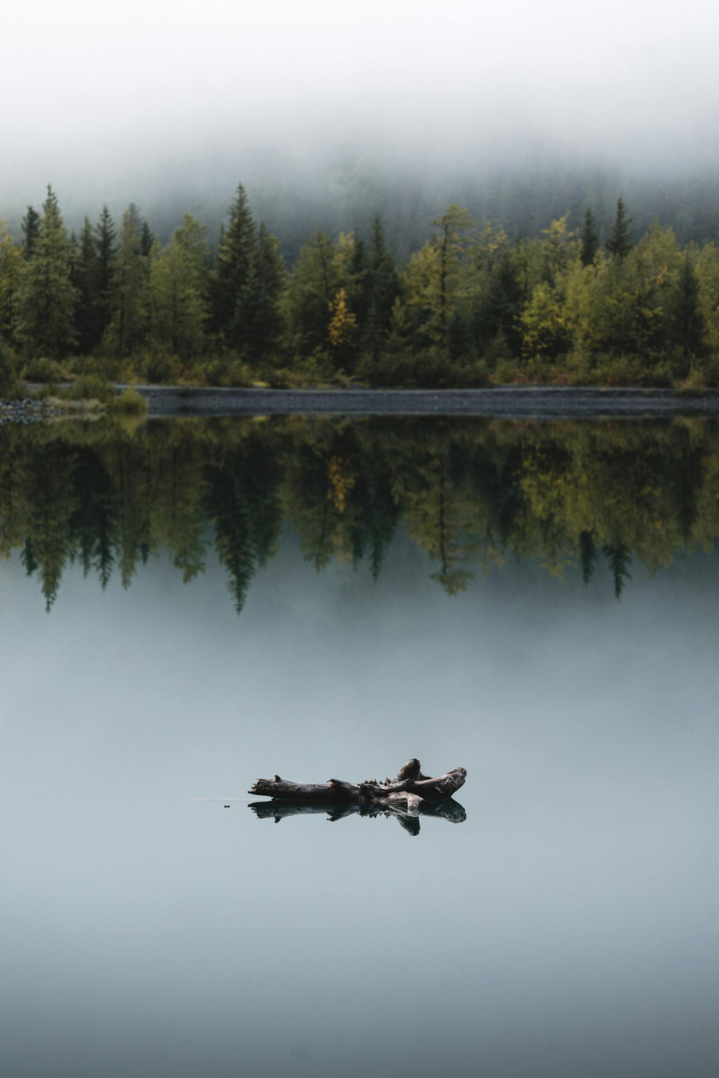 Anxiety First Aid guide — calm peaceful nature