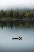 Anxiety First Aid guide — calm peaceful nature