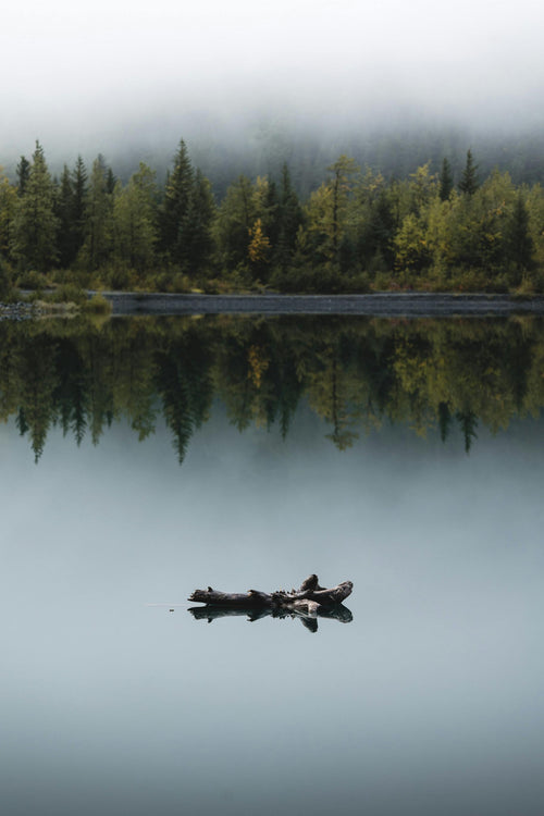 Anxiety First Aid guide — calm peaceful nature