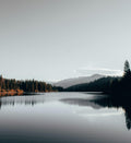 Holistic Mental Wellness — open natural landscape