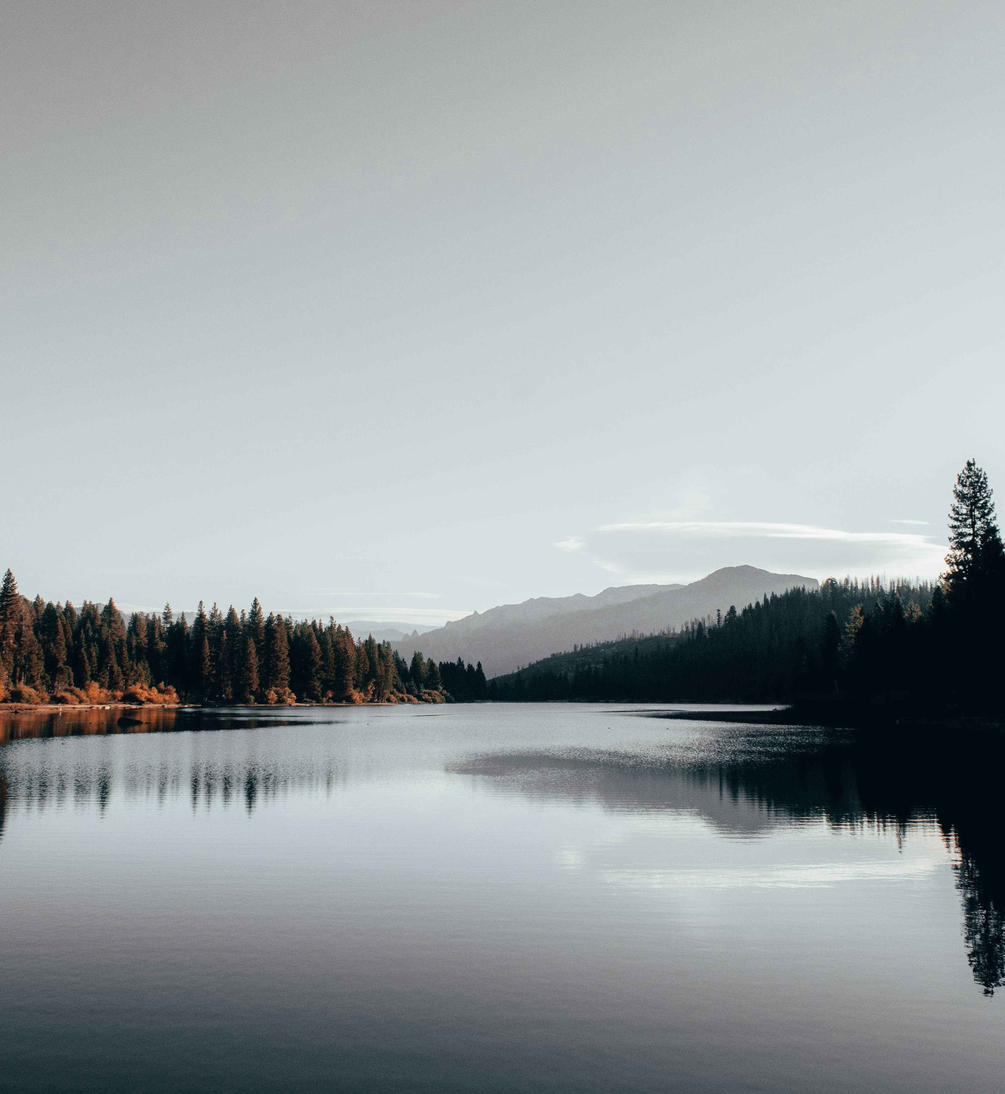 Holistic Mental Wellness — open natural landscape