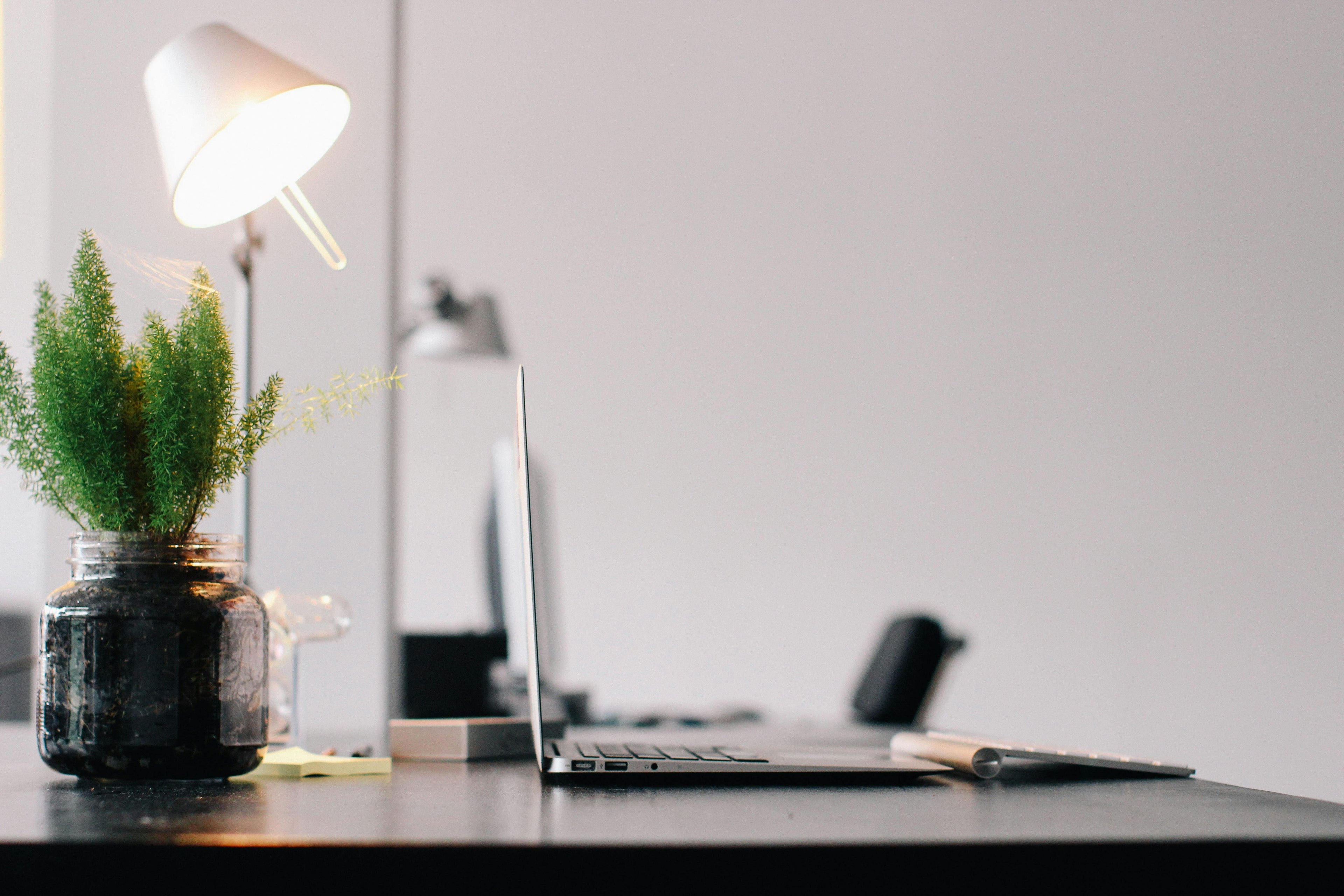 ADHD Survival Guide — clean focused workspace
