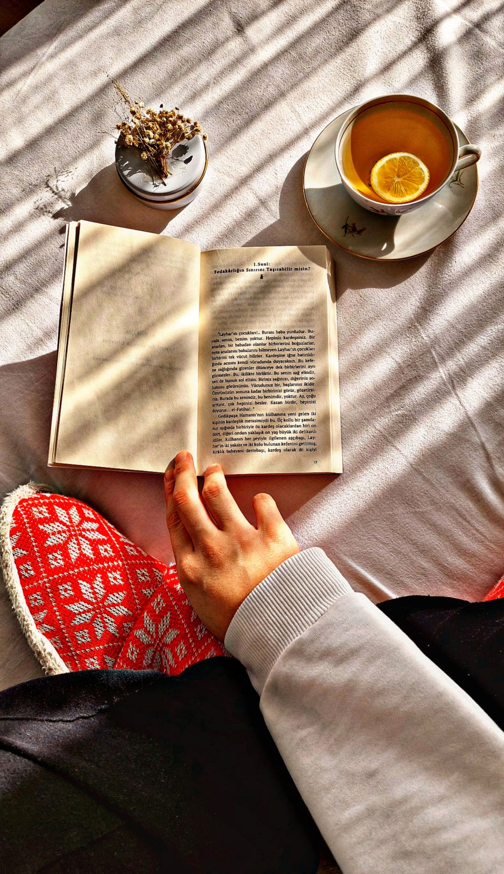 Peaceful morning reading with tea in warm sunlight