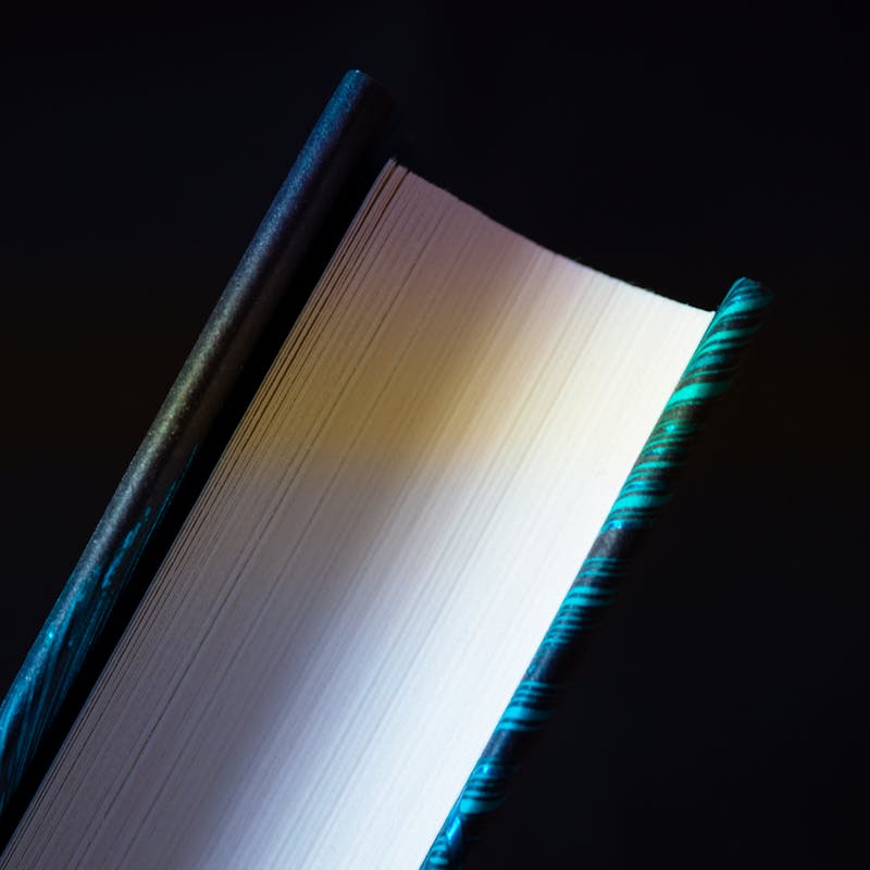 The Wellness Blueprint book