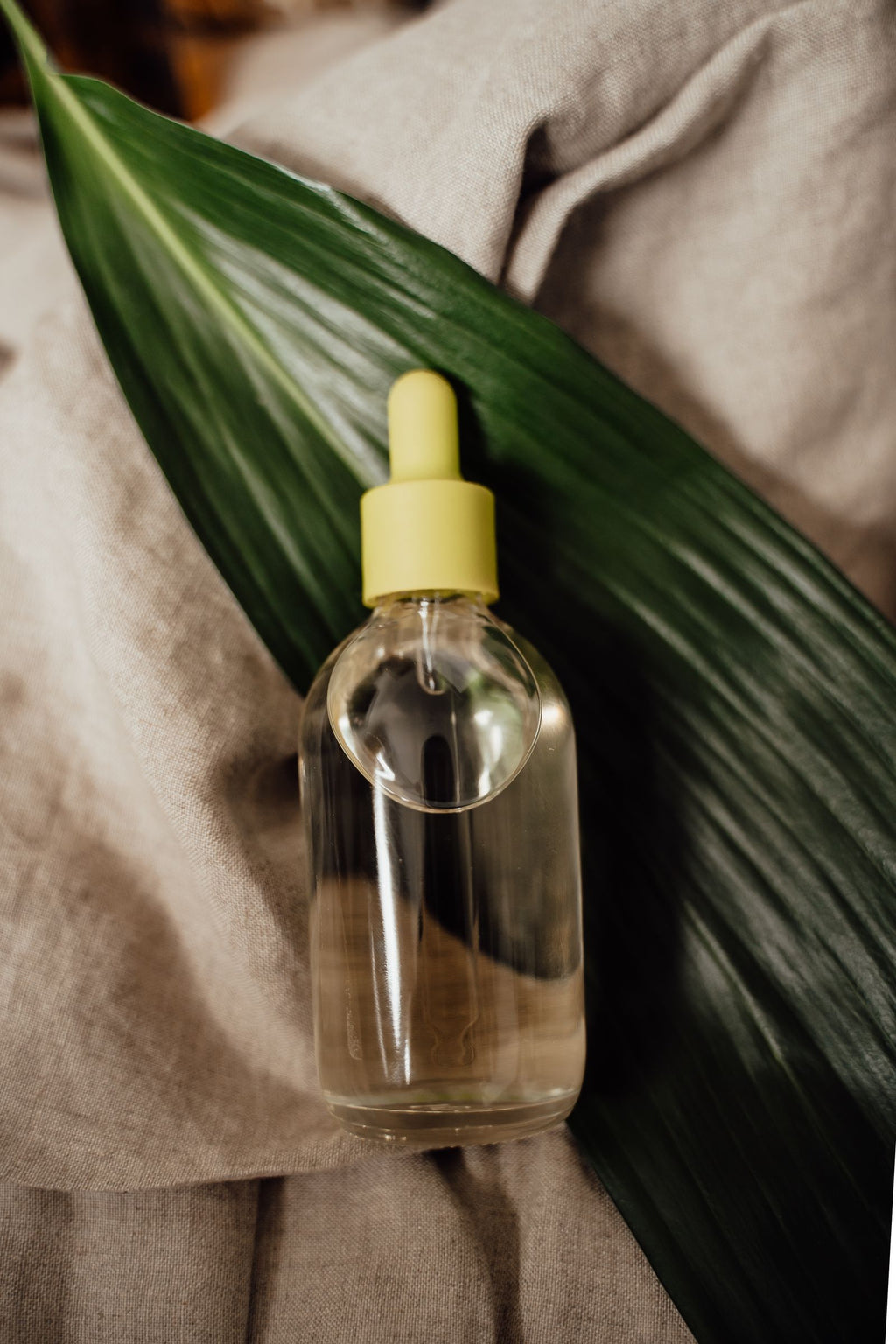 Dropper bottle of skin serum on a green leaf